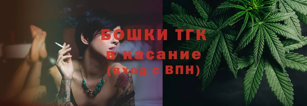 твердый Бронницы