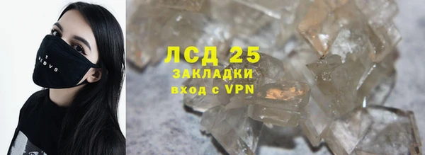 трава Верея